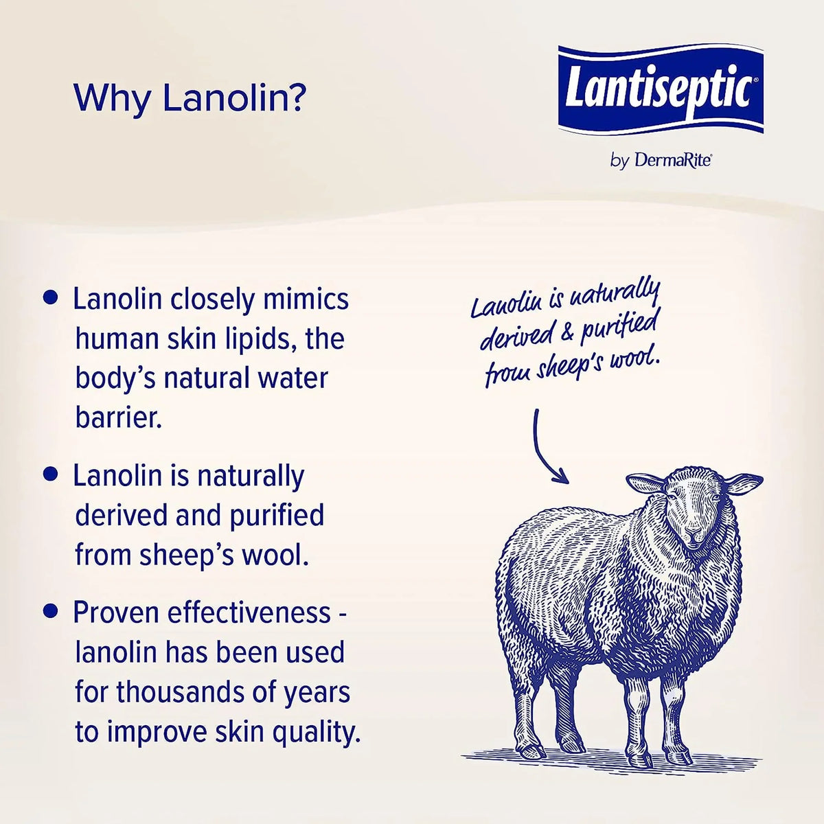 Lantiseptic Lanolin Scent Skin Protectant Cream 14 oz. Jar LS0710 1 Ct