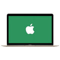 Apple Certified Used A Grade 12-inch Laptop (Retina, Gold) 1.1GHz Core M MK4M2LL/A 256 GB SSD 8 GB Memory 2304x1440 Display Mac OS X v10.12 Sierra Power Adapte
